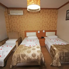 Flower Palace Hotel 3* Стандартный номер с различными типами кроватей