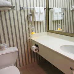 Отель Comfort Inn & Suites University Канада, Калгари - отзывы, цены и фото номеров - забронировать отель Comfort Inn & Suites University онлайн ванная фото 2