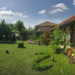 Отель House Gabri Болгария, Тырговиште - отзывы, цены и фото номеров - забронировать отель House Gabri онлайн фото 9
