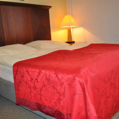 Hotel Svornost 3* Люкс с различными типами кроватей фото 17