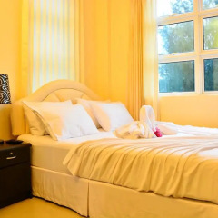 Отель Beach Palace Номер Делюкс с различными типами кроватей фото 14