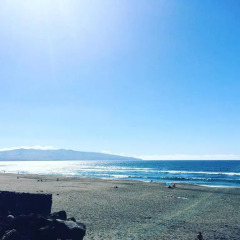 Отель Surf Beach_Santa Barbara Secret Gardens пляж