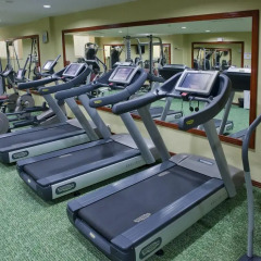 Отель Ramada Plaza Gence Азербайджан, Гянджа - отзывы, цены и фото номеров - забронировать отель Ramada Plaza Gence онлайн фитнесс-зал