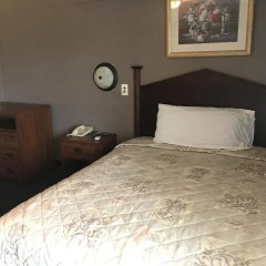 Отель Altamont Motel 2* Стандартный номер с различными типами кроватей фото 2
