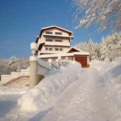 Family Hotel Diana спортивное сооружение