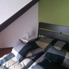 Отель Apartmány Slovanská Чехия, Пльзень - отзывы, цены и фото номеров - забронировать отель Apartmány Slovanská онлайн комната для гостей фото 4