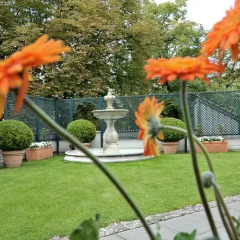 Hotel Ludwig van Beethoven детские мероприятия