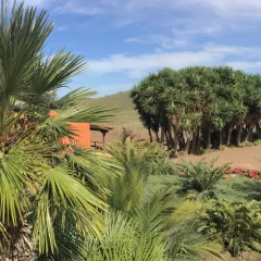 Отель Haciendas del Valle - Las Kentias фото 6