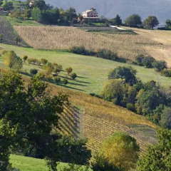 Отель Agriturismo Agra Mater Италия, Монтекассино - отзывы, цены и фото номеров - забронировать отель Agriturismo Agra Mater онлайн спортивное сооружение