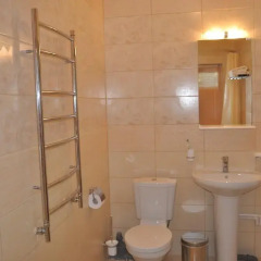 Отель Guest House Yablonevyy Tsvet Белокуриха ванная фото 2