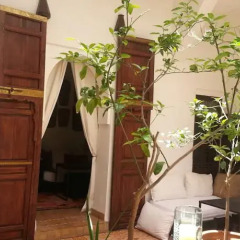 Отель Riad Azza Марокко, Марракеш - отзывы, цены и фото номеров - забронировать отель Riad Azza онлайн интерьер отеля фото 3
