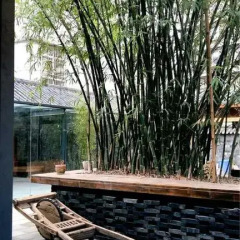 Zhuangse Chengdu Youth Hostel бассейн