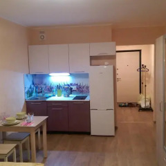 Апартаменты Lesnaya Apartment Студия фото 33