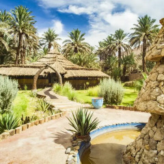 Отель Riad Lamane Марокко, Загора - отзывы, цены и фото номеров - забронировать отель Riad Lamane онлайн бассейн