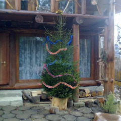 Гостиница Petrikholm фото 5