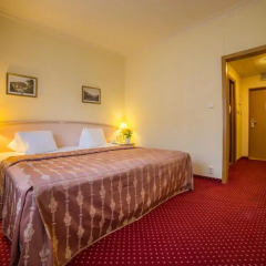 Отель Interhotel Central 4* Номер Делюкс с различными типами кроватей