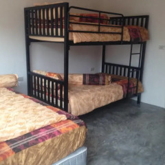 Samui Backpacker Hotel комната для гостей фото 3