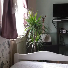 Отель Rooms Madison 3* Стандартный номер с 2 отдельными кроватями фото 19