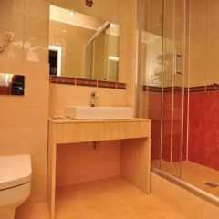 Hotel Zvezdnyi 3* Номер Делюкс с разными типами кроватей фото 3