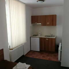 Апартаменты Apartments U Svejku Апартаменты с различными типами кроватей фото 10