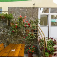 Гостиница Пальма Сочи фото 2