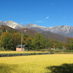 Отель Pension Agi Хакуба фото 2