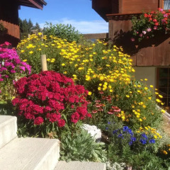 Отель Chalet Weidhaus Ferienwohnung & Zimmer балкон