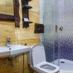 Гостиница Dniprovskiy Dvir 4* Стандартный номер двуспальная кровать фото 10