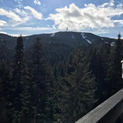 Hotel Ela (Paisii Hilendarski) балкон