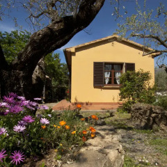 Отель Agriturismo Cerroni Montescudaio Монтескудаио фото 4