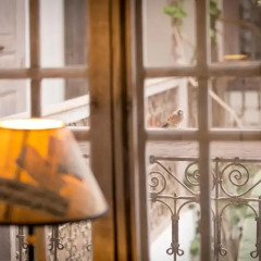 Отель Riad Altair 4* Номер Делюкс с различными типами кроватей фото 8