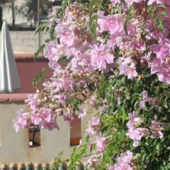 Отель Riad Kalila Марокко, Марракеш - отзывы, цены и фото номеров - забронировать отель Riad Kalila онлайн фото 4