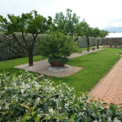 Отель Il Giardino delle Zagare Фонди фото 8