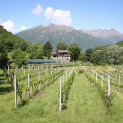 Отель Agriturismo La Campagnetta Кьяверано приотельная территория