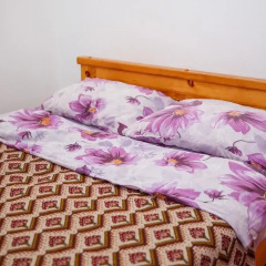 Mini-hotel Istok комната для гостей фото 2