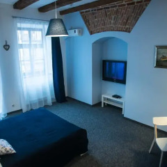 Central MINI HOTEL 3* Номер Делюкс двуспальная кровать фото 4
