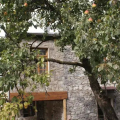 Отель Takht House Армения, Дилижан - отзывы, цены и фото номеров - забронировать отель Takht House онлайн фото 16