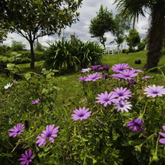 Отель Posada Río Cubas фото 5