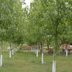 Отель Crossway Camping Армения, Ехегнадзор - отзывы, цены и фото номеров - забронировать отель Crossway Camping онлайн фото 4