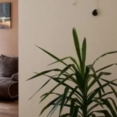 Отель Apartameny Biuro Serwis Польша, Познань - отзывы, цены и фото номеров - забронировать отель Apartameny Biuro Serwis онлайн интерьер отеля