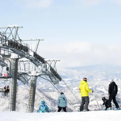 Отель Yongpyong Resort Dragon Valley Hotel Южная Корея, Пхёнчан - отзывы, цены и фото номеров - забронировать отель Yongpyong Resort Dragon Valley Hotel онлайн спортивное сооружение