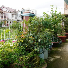 Отель Cam Ly Homestay Далат фото 3