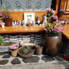 Отель Dajayon Hanok Stay Южная Корея, Сеул - отзывы, цены и фото номеров - забронировать отель Dajayon Hanok Stay онлайн интерьер отеля фото 2