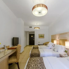 Toledo Hotel 4* Стандартный номер с различными типами кроватей фото 6