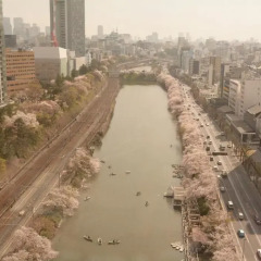 Tokyo Central Youth Hostel Токио пляж фото 2