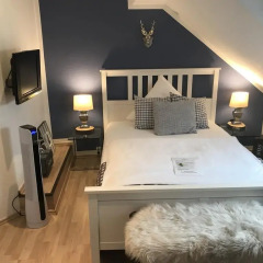 Hotel Am Volksgarten 3* Номер категории Эконом с двуспальной кроватью фото 3