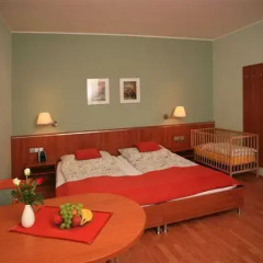 Отель Penzion Fan 3* Студия с различными типами кроватей фото 26