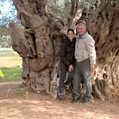 Отель Masseria La Lizza Лечче бассейн