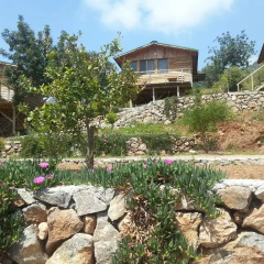 Отель Olive Garden Kabak Патара фото 3