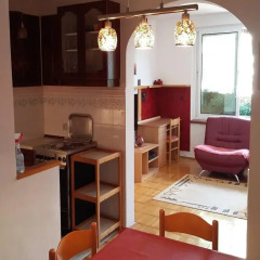 Апартаменты Apartment Zoran Centar в номере